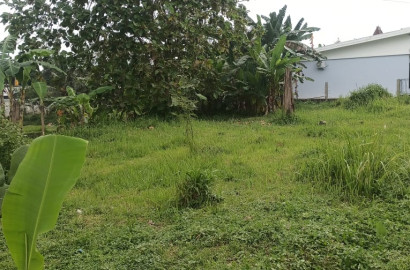 Dijual Tanah Siap Bangun Daerah Purwokerto Utara- Kutasari