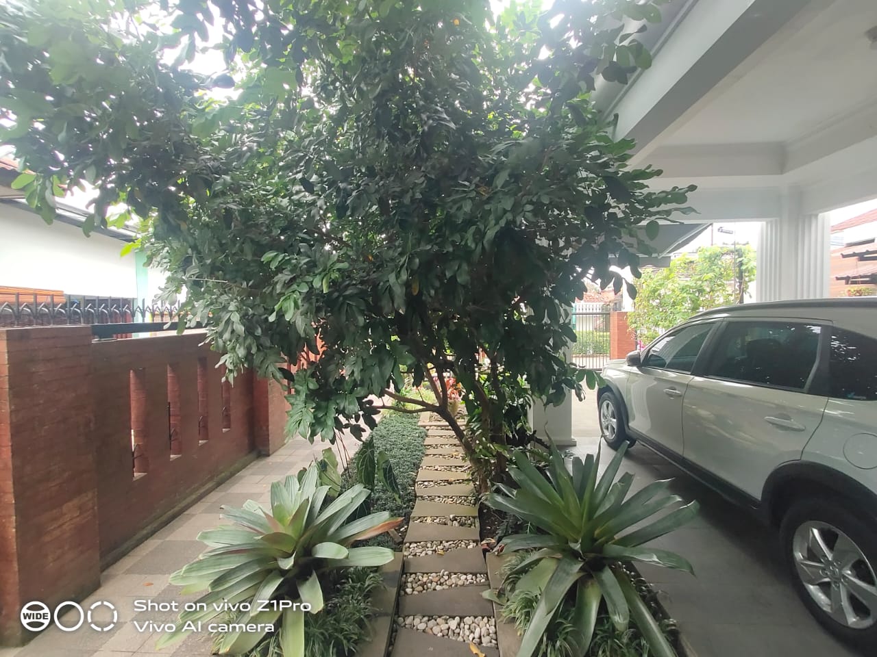 Rumah Cantik Asri Kayu Jati Area Utara Purwokerto