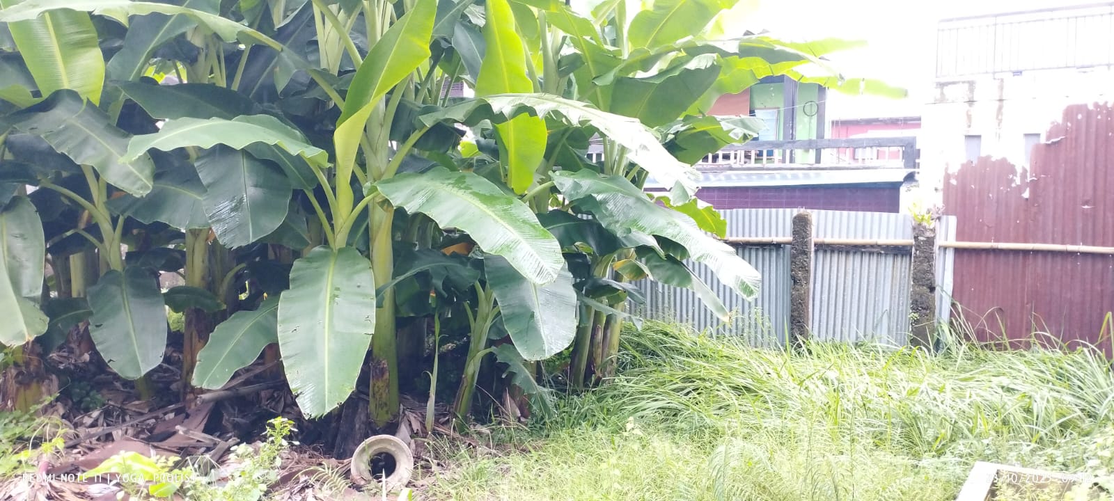 Dijual Tanah Bonus Bangunan Dapat 2 Muka, 4 Menit Gor Satria Purwokerto