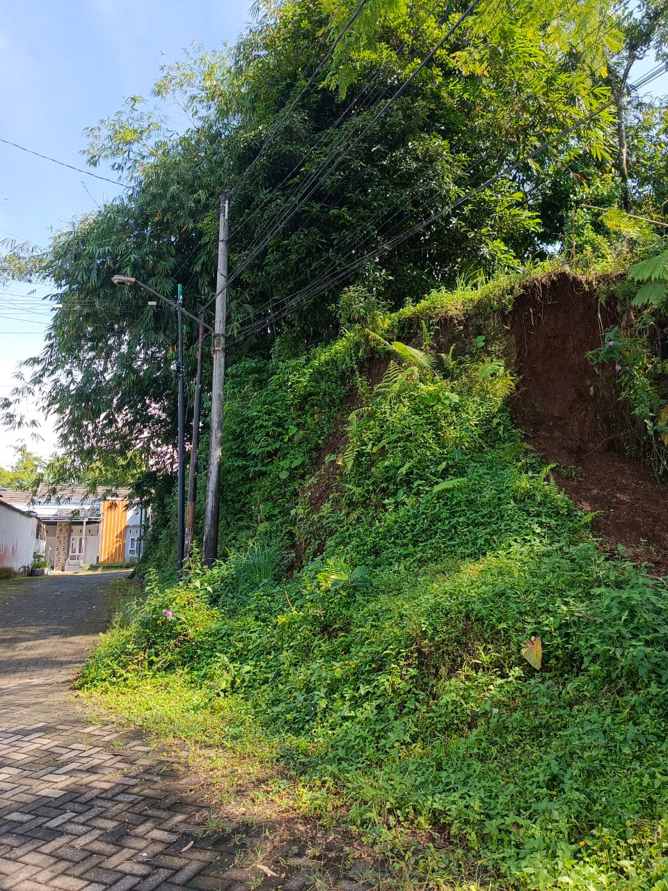 Dijual Tanah Strategis – SHM di Karanggintung, Purwokerto