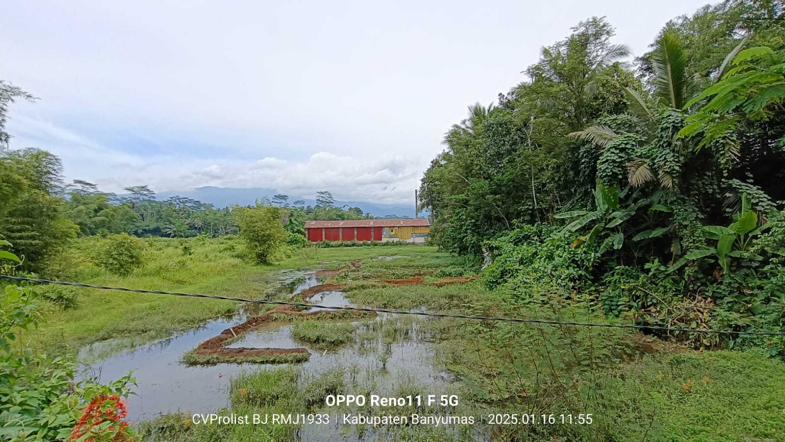 Dijual Tanah Di Cilongok 1 Menit ke Pasar Cilongok