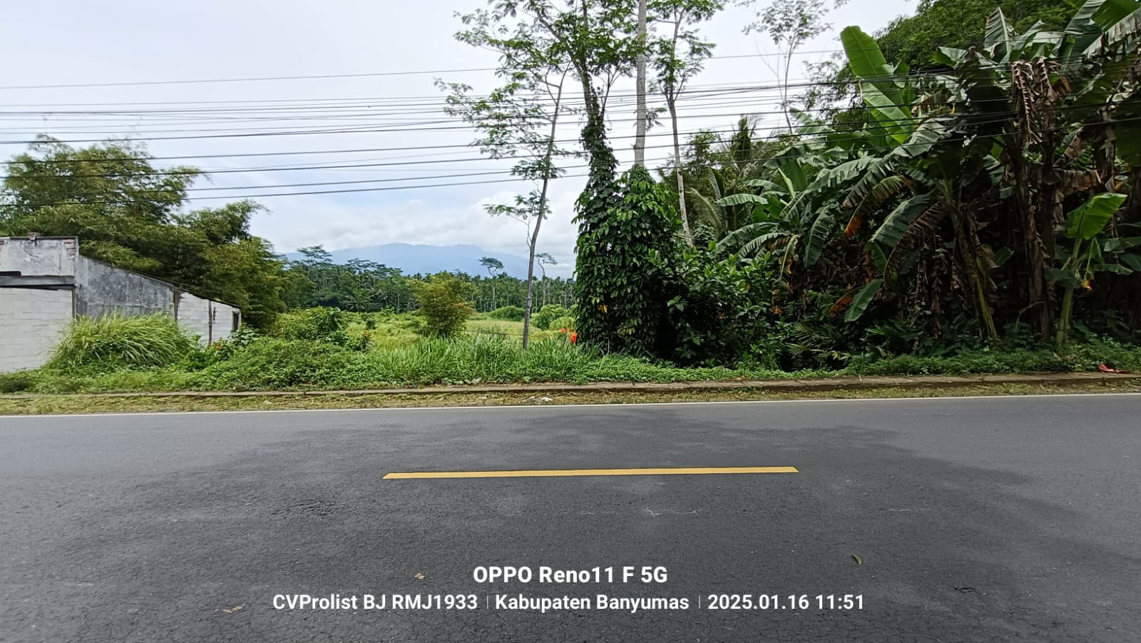 Dijual Tanah Di Cilongok 1 Menit ke Pasar Cilongok
