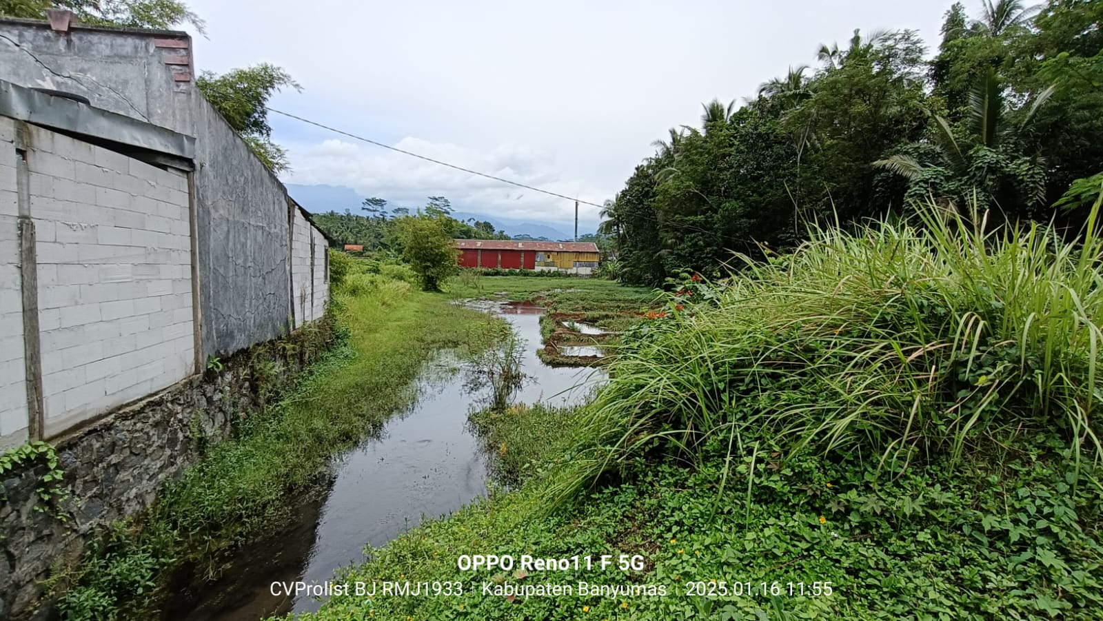 Dijual Tanah Di Cilongok 1 Menit ke Pasar Cilongok