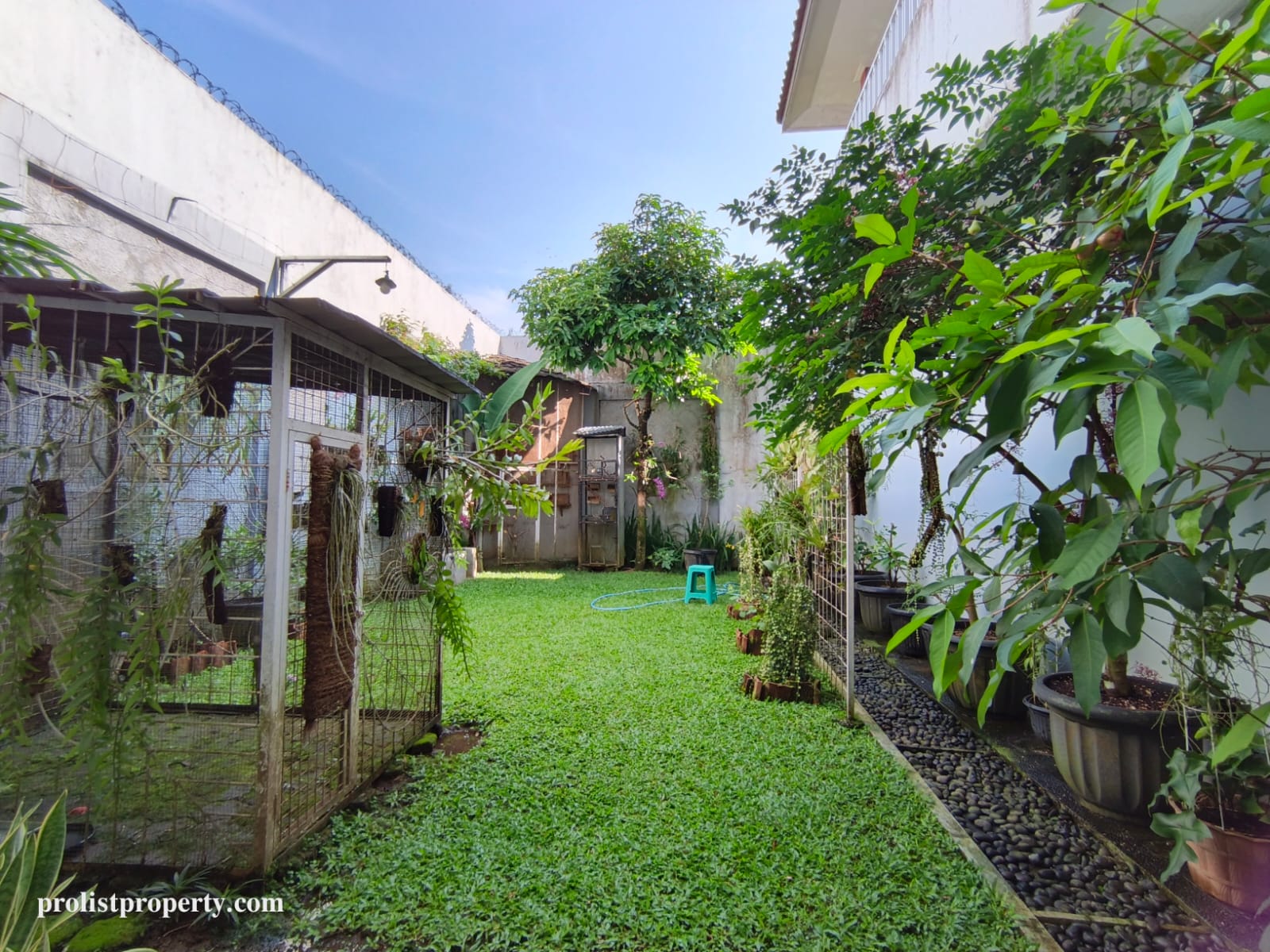 Dijual Rumah Serasa Villa Dengan View Gunung slamet - Banyak Bonusnya!