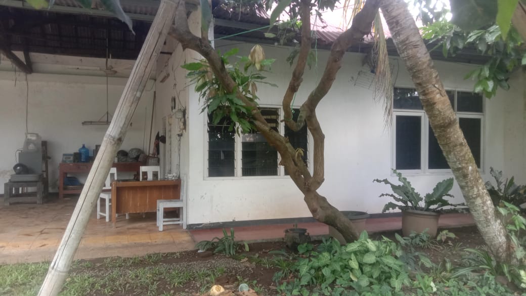 Dijual Rumah di kota lama Banyumas dengan halaman luas cocok untuk usaha