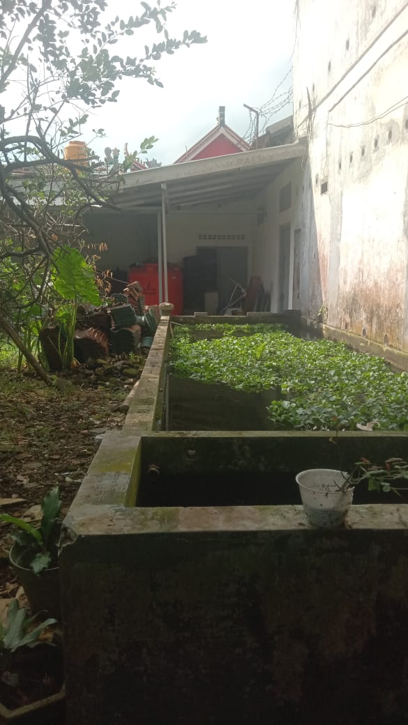 Dijual Rumah di kota lama Banyumas dengan halaman luas cocok untuk usaha