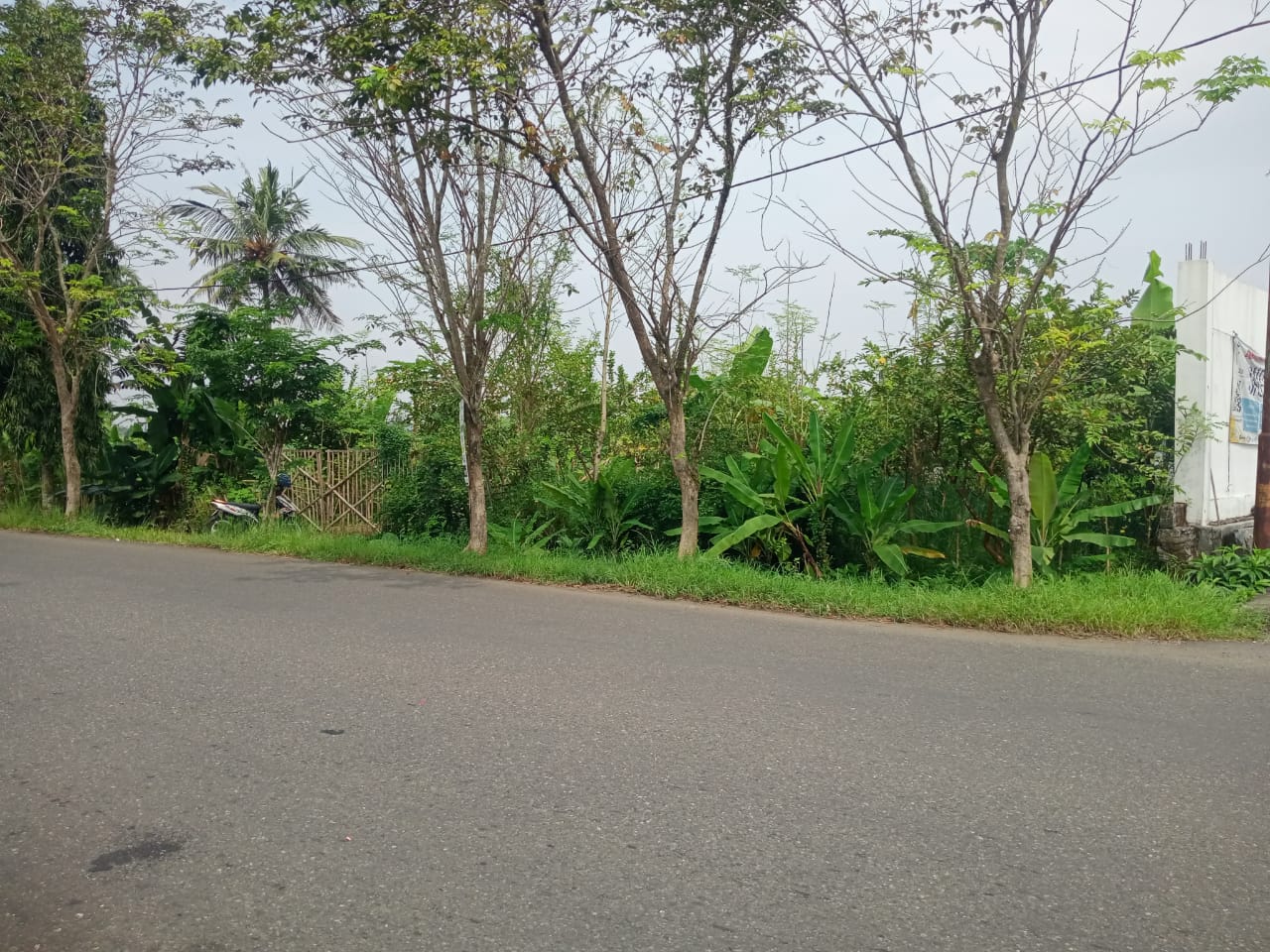 Dijual Tanah Pekarangan Bonus Bangunan Satu Menit Ke Terminal Bus Purwokerto