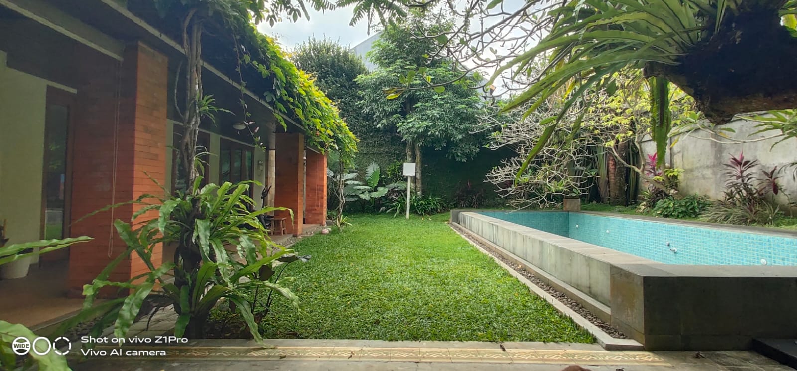 Rumah Mewah Minimalis Halaman Luas Ada Kolam Renang Area Purwokerto Utara
