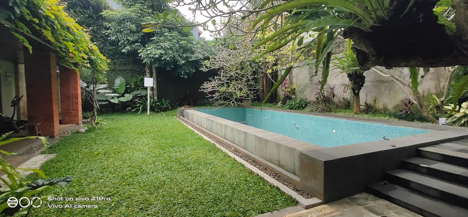 Rumah Mewah Minimalis Halaman Luas Ada Kolam Renang Area Purwokerto Utara
