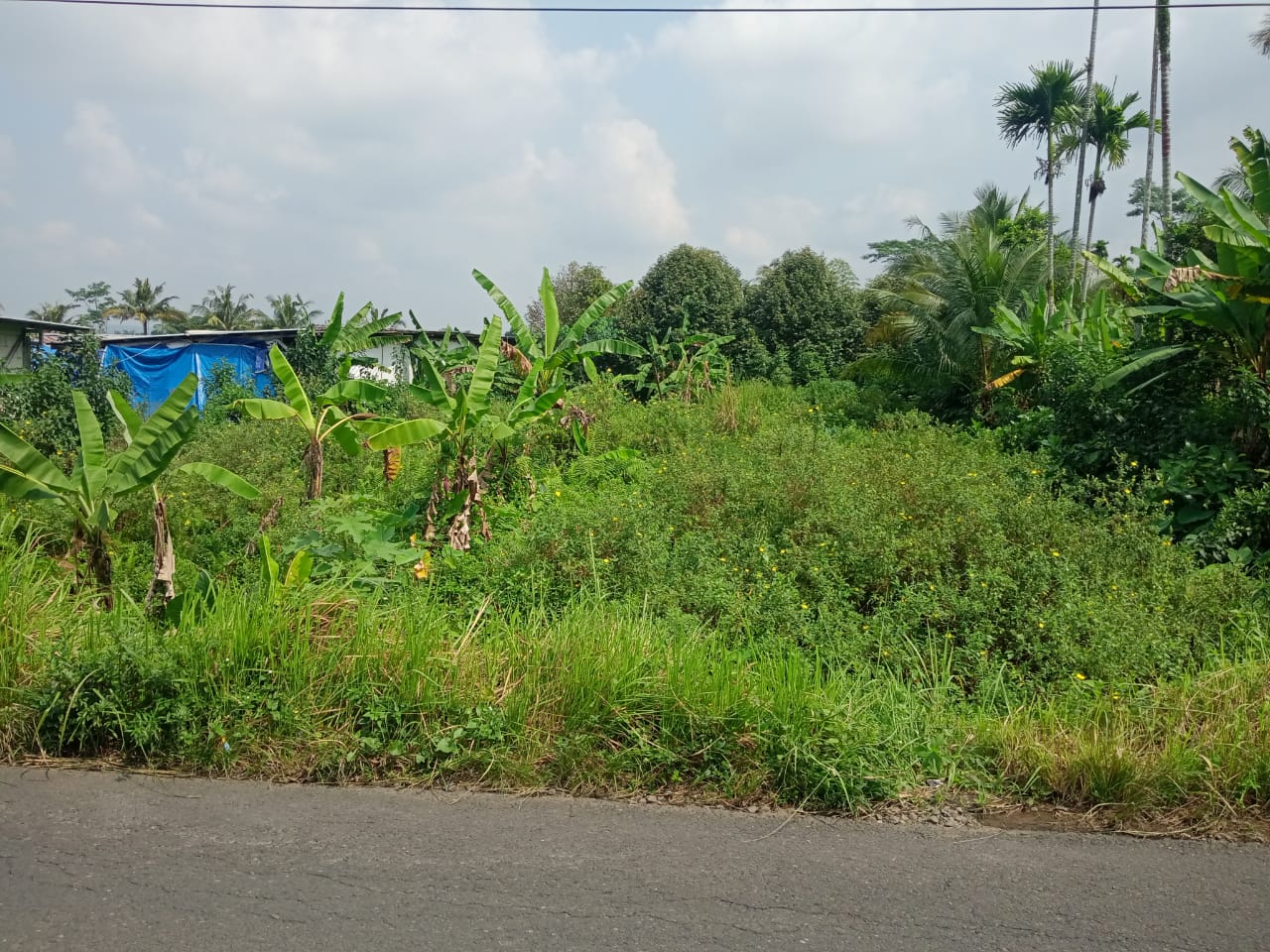 Dijual Tanah Dengan Udara Sejuk Suasana Pedesaan cocok Untuk Pensiunan