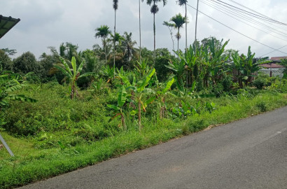Dijual Tanah Dengan Udara Sejuk Suasana Pedesaan cocok Untuk Pensiunan