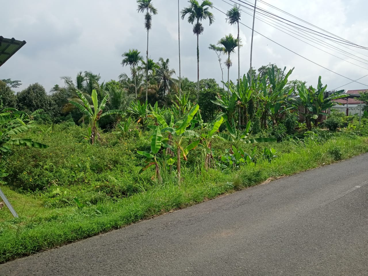 Dijual Tanah Dengan Udara Sejuk Suasana Pedesaan cocok Untuk Pensiunan