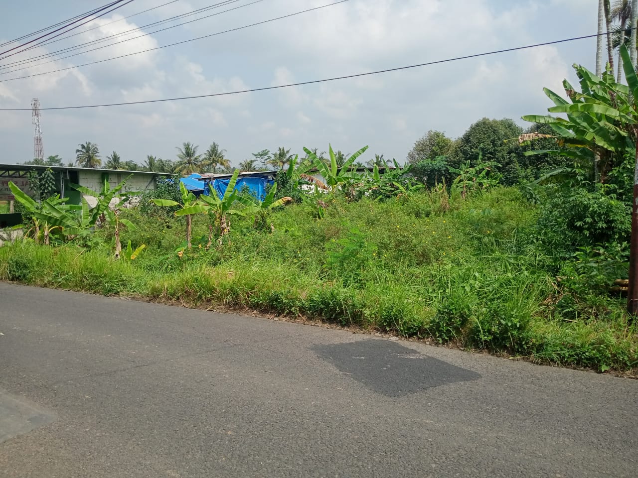 Dijual Tanah Dengan Udara Sejuk Suasana Pedesaan cocok Untuk Pensiunan
