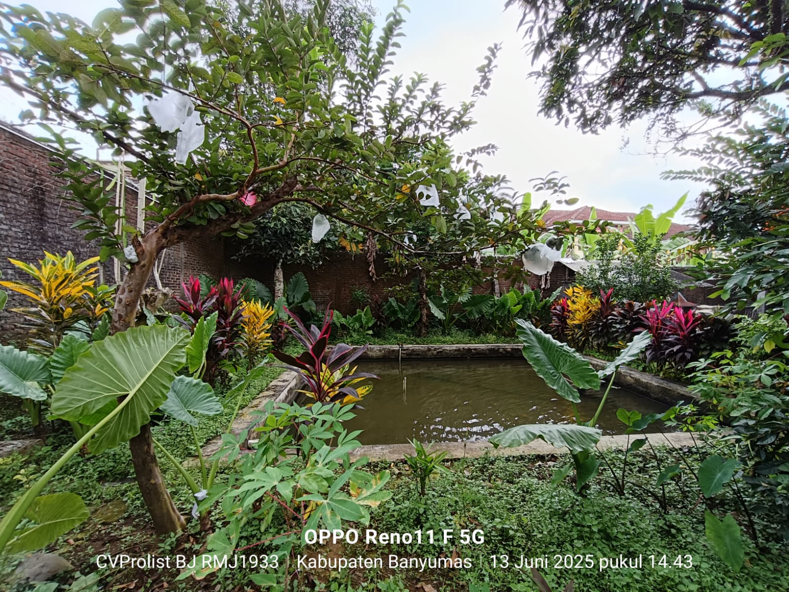 Dijual Rumah 5 Menit Dari Kampus UNWIKU