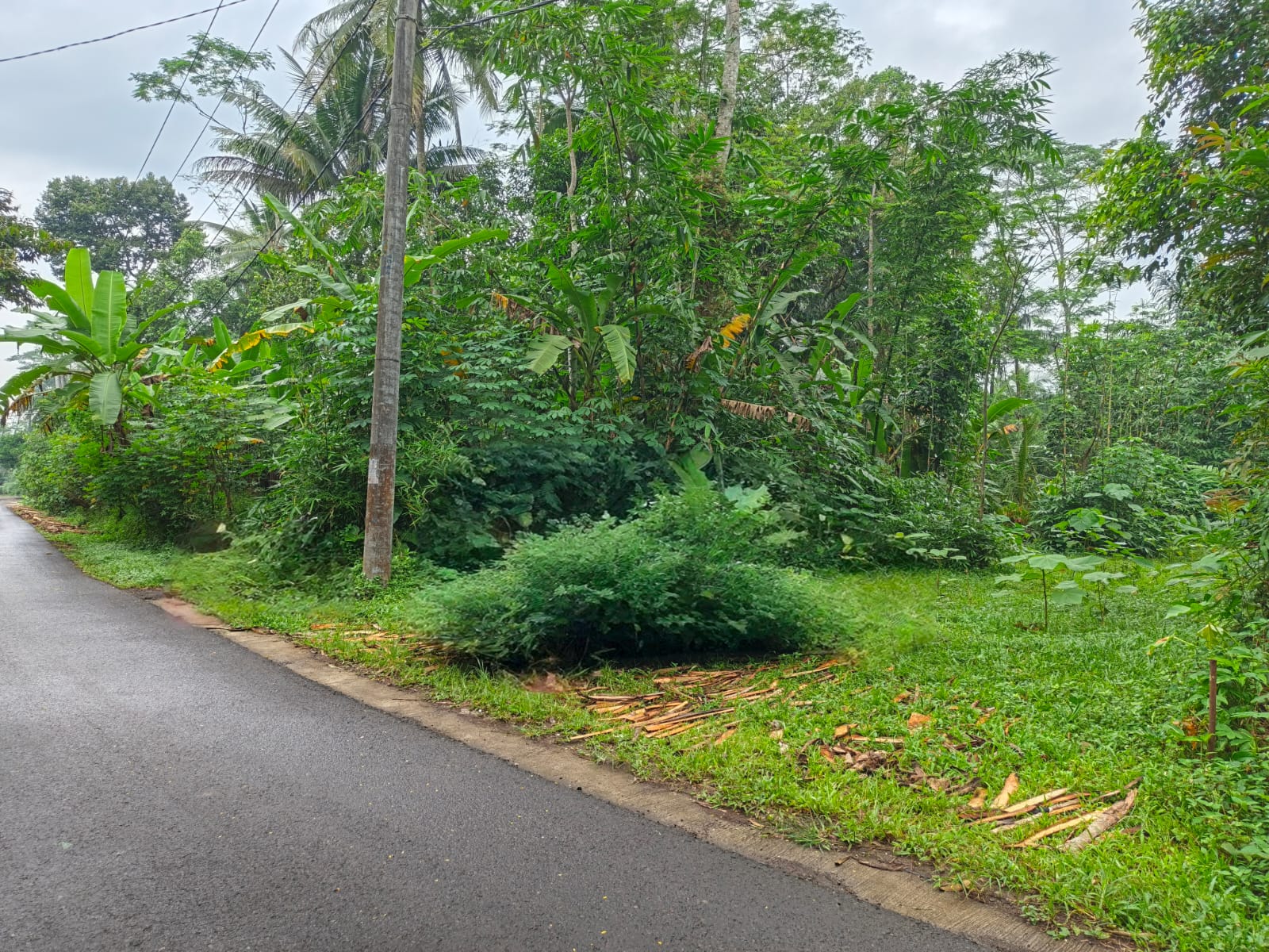 Dijual Tanah Pekarangan Akses Mobil 3 Menit Pasar Cilongok