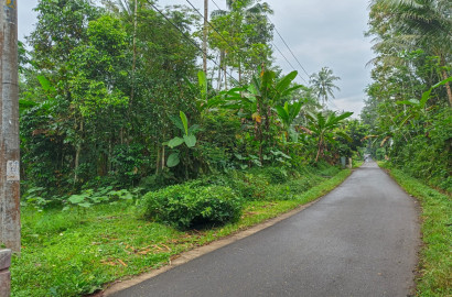 Dijual Tanah Pekarangan Akses Mobil 3 Menit Pasar Cilongok
