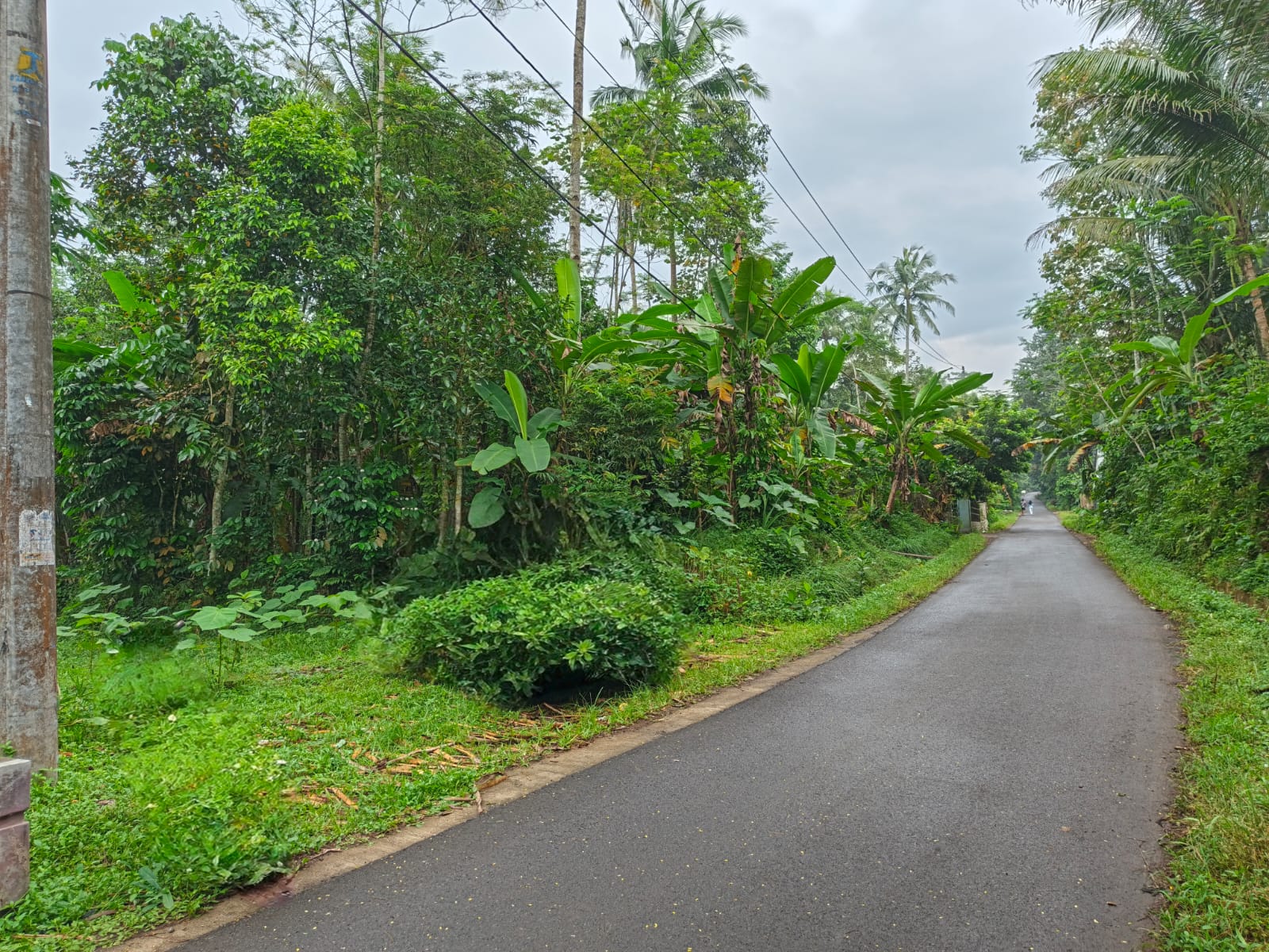 Dijual Tanah Pekarangan Akses Mobil 3 Menit Pasar Cilongok