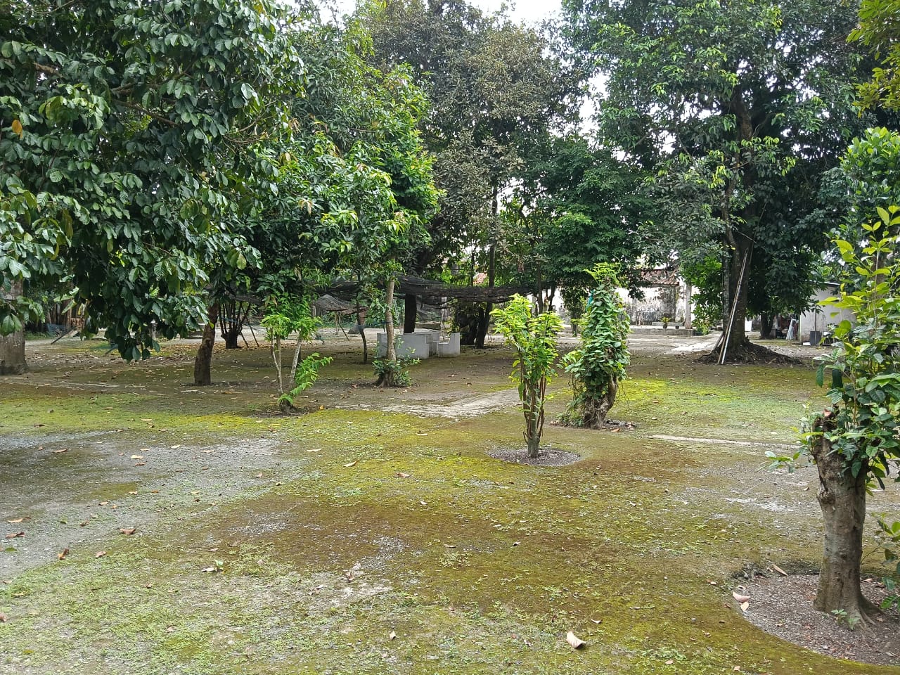 Dijual Tanah Bentuk Ngantong Bonus Bangunan Pinggir Jalan Raya Utama Sokaraja