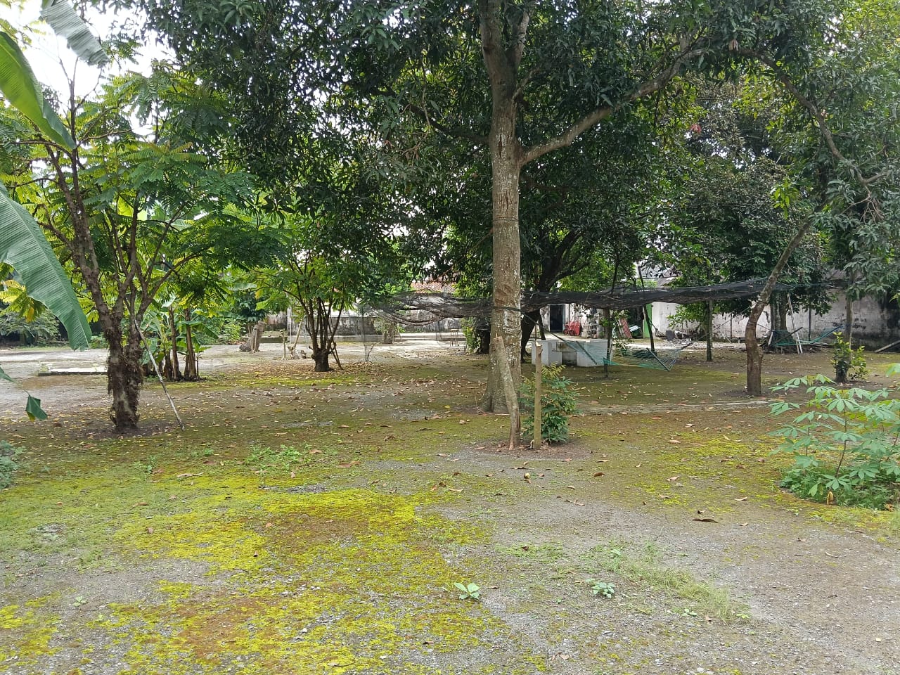 Dijual Tanah Bentuk Ngantong Bonus Bangunan Pinggir Jalan Raya Utama Sokaraja