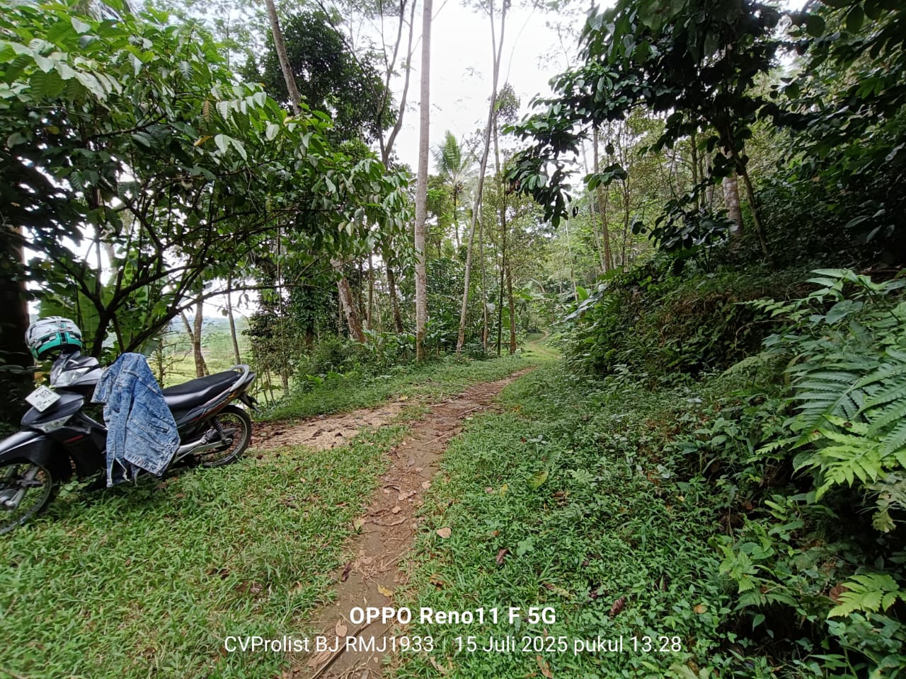 Dijual Tanah Di Kaki Gunung Slamet,  Lingkungan Asri Dan Udara Masih Segar