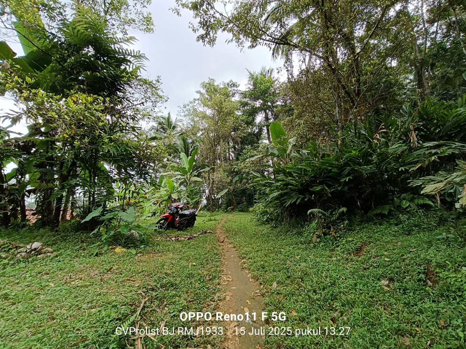 Dijual Tanah Di Kaki Gunung Slamet,  Lingkungan Asri Dan Udara Masih Segar