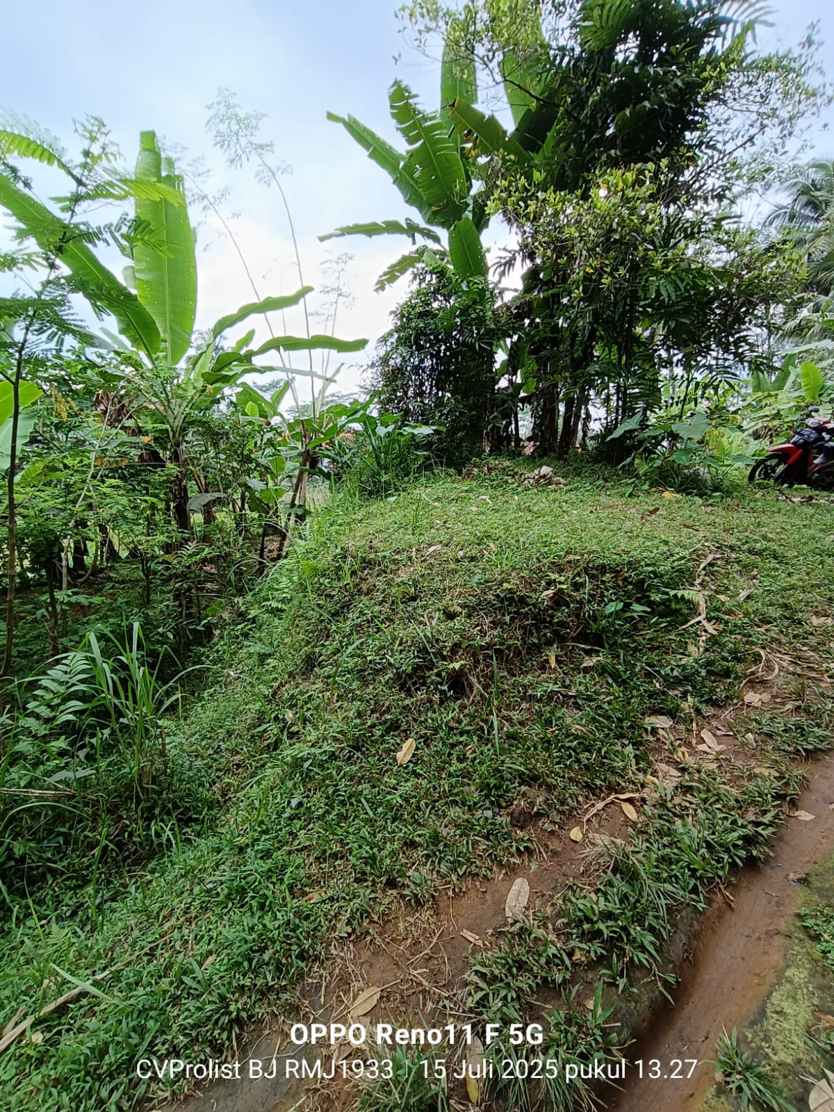 Dijual Tanah Di Kaki Gunung Slamet,  Lingkungan Asri Dan Udara Masih Segar