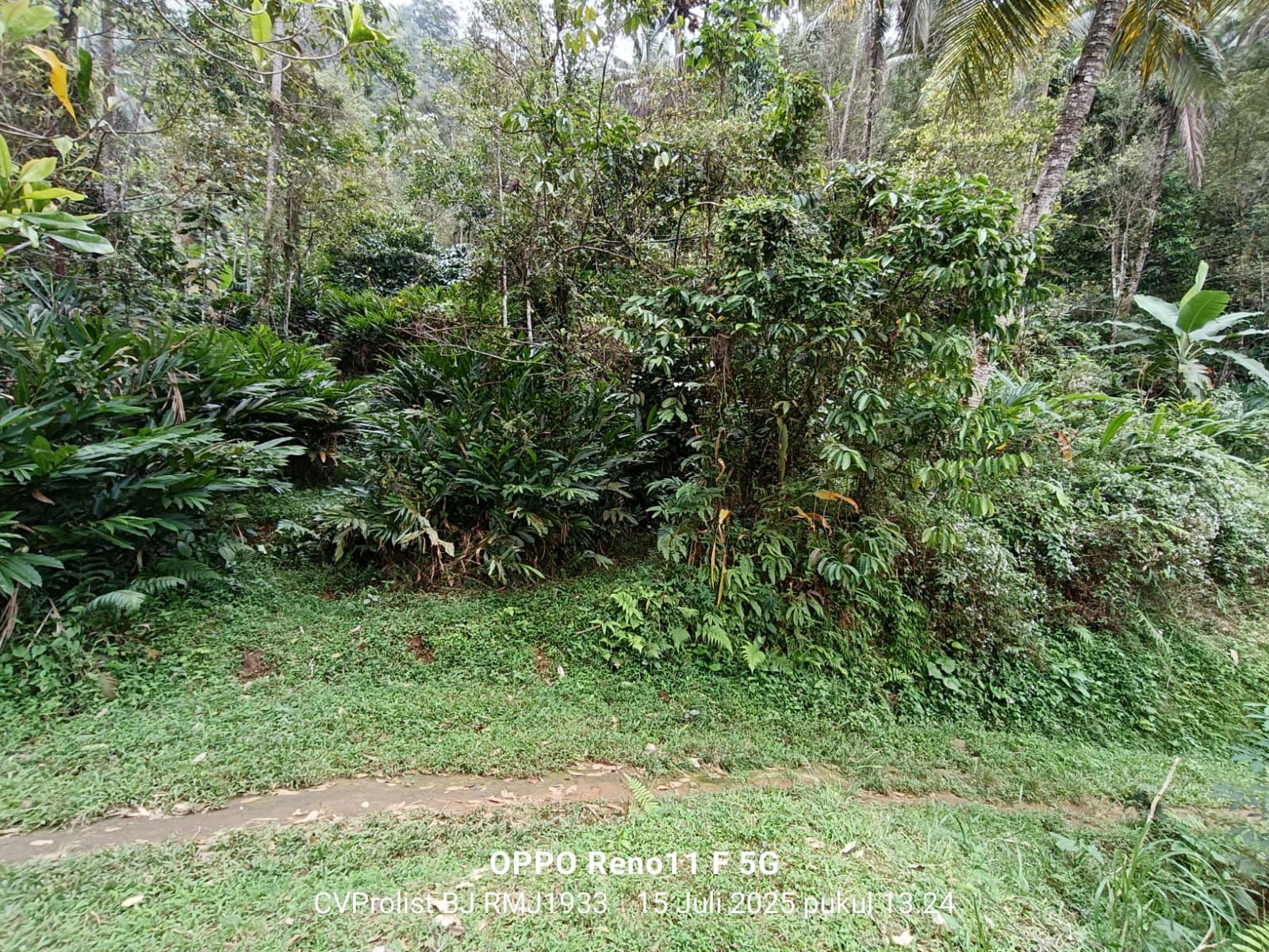 Dijual Tanah Di Kaki Gunung Slamet,  Lingkungan Asri Dan Udara Masih Segar