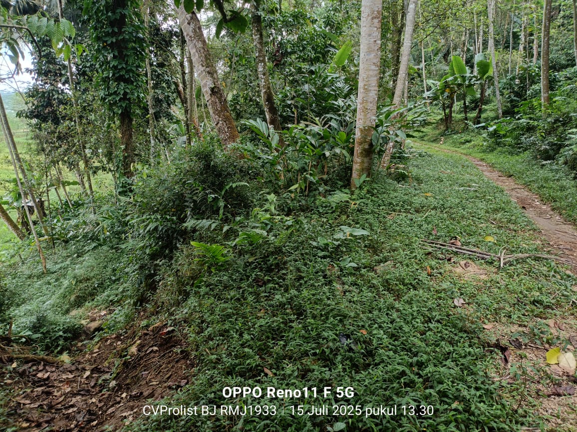 Dijual Tanah Di Kaki Gunung Slamet,  Lingkungan Asri Dan Udara Masih Segar