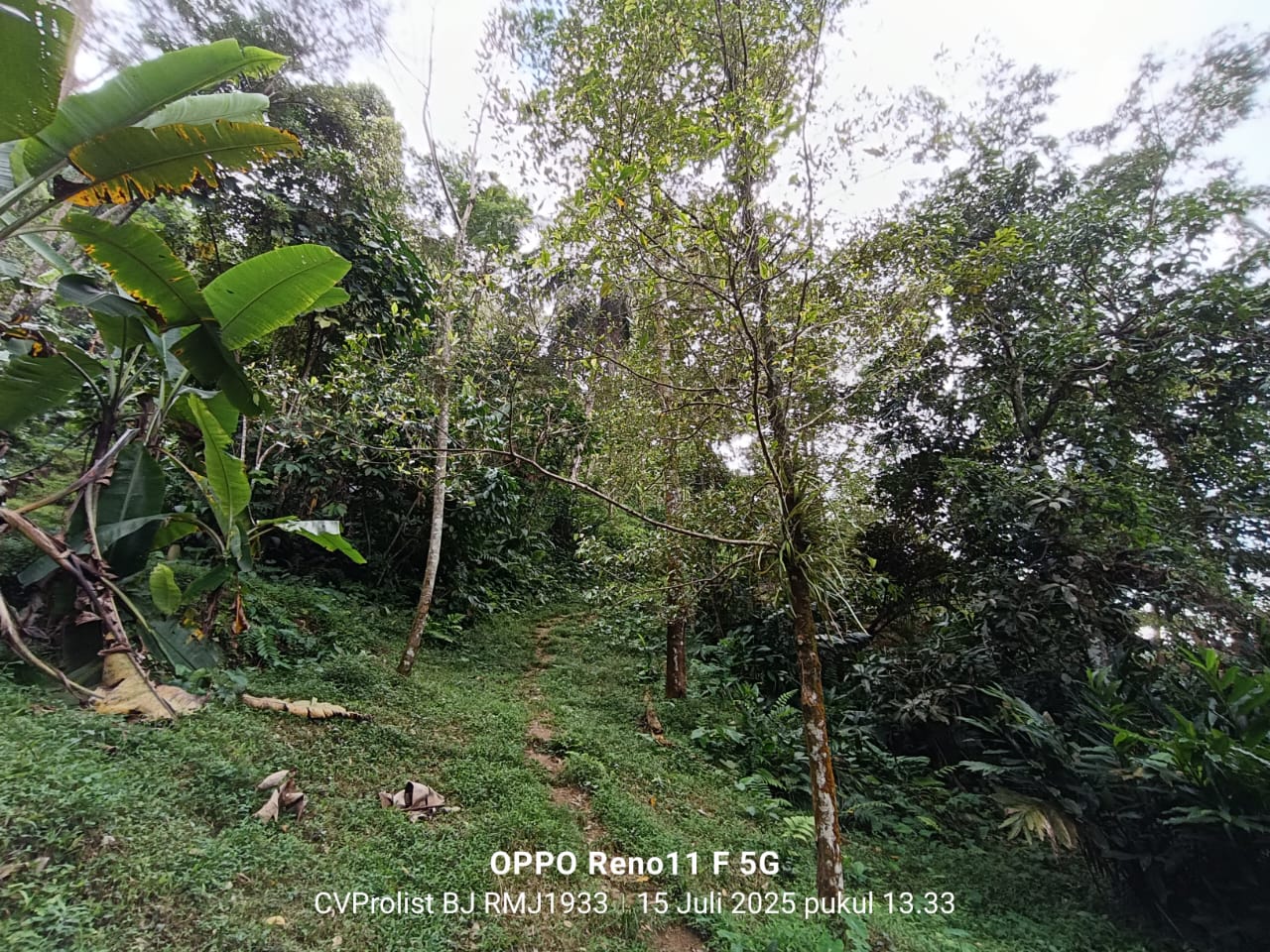 Dijual Tanah Di Kaki Gunung Slamet,  Lingkungan Asri Dan Udara Masih Segar