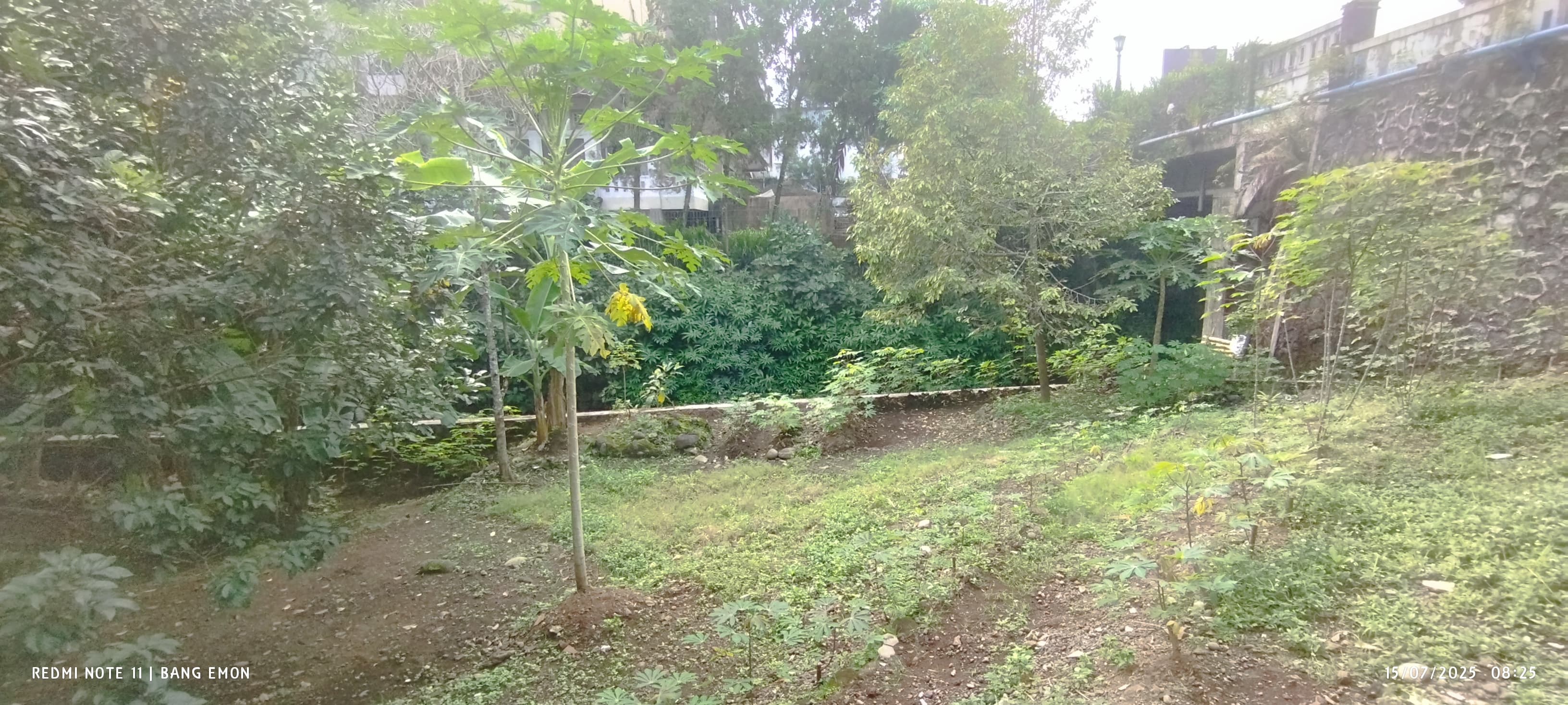 Dijual Rumah PLUS KEBUN Luas, DEKAT JAVA HERITAGE HOTEL