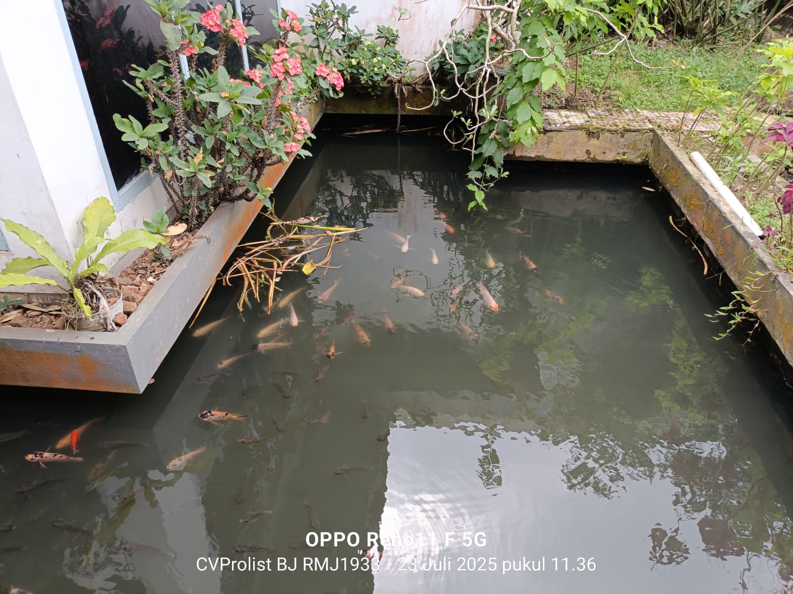 Dijual Rumah Dengan Halaman Luas 7 Menit Stasiun Purwokerto