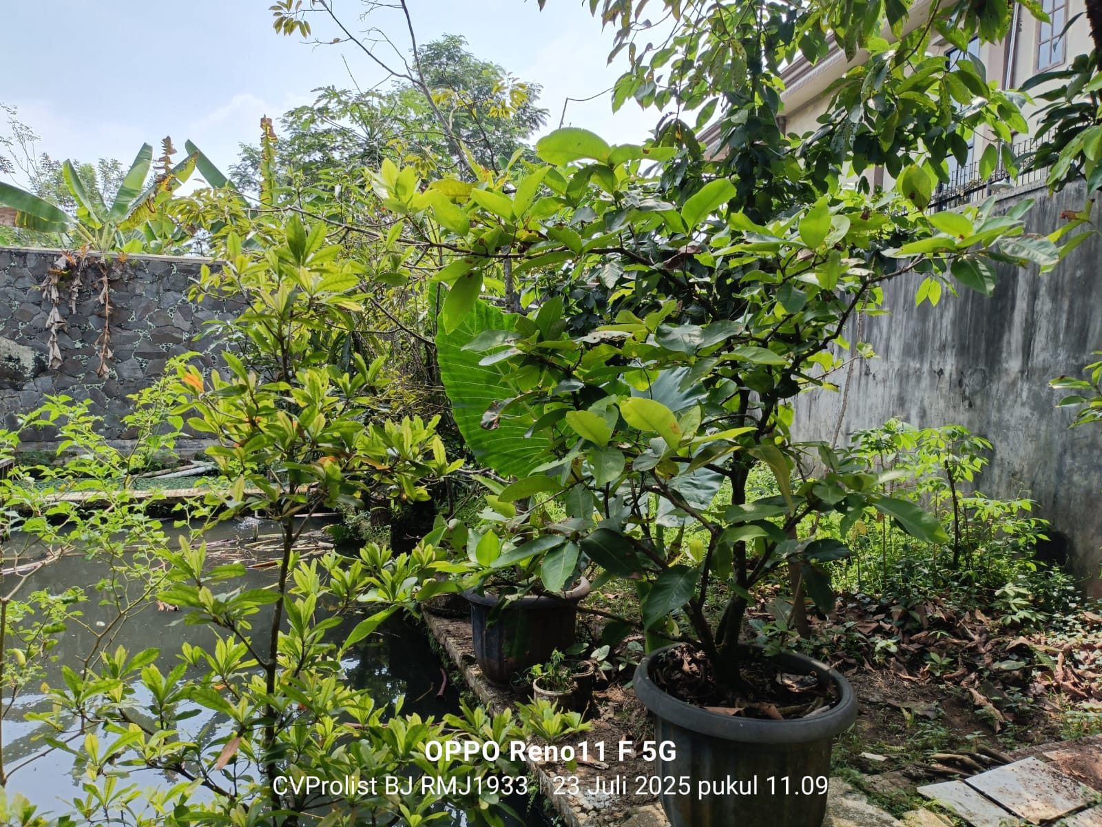 Dijual Rumah Dengan Halaman Luas 7 Menit Stasiun Purwokerto