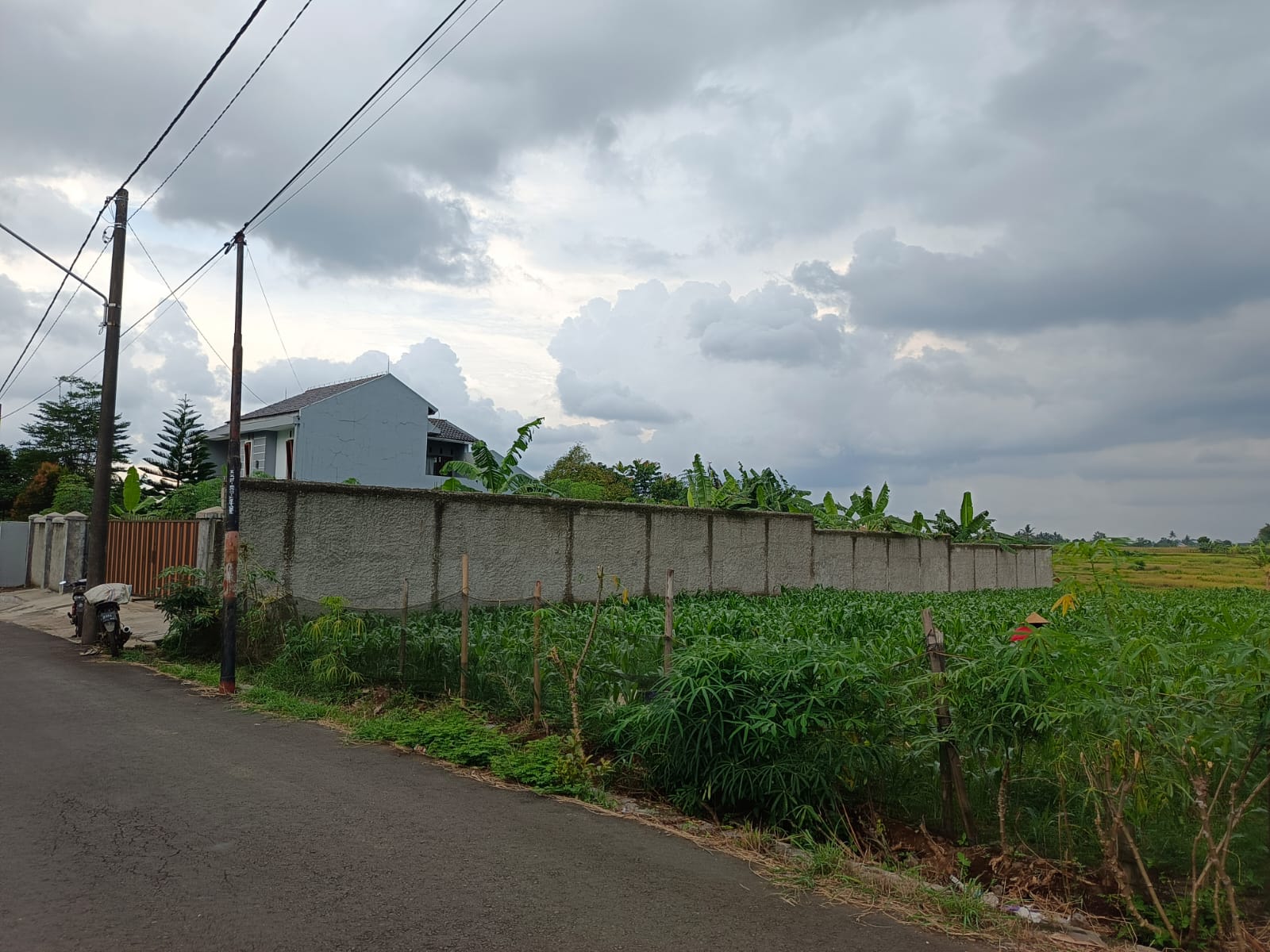 Dijual Tanah Kering Sudah Tembok Keliling dekat JL Purwokerto-Padamara