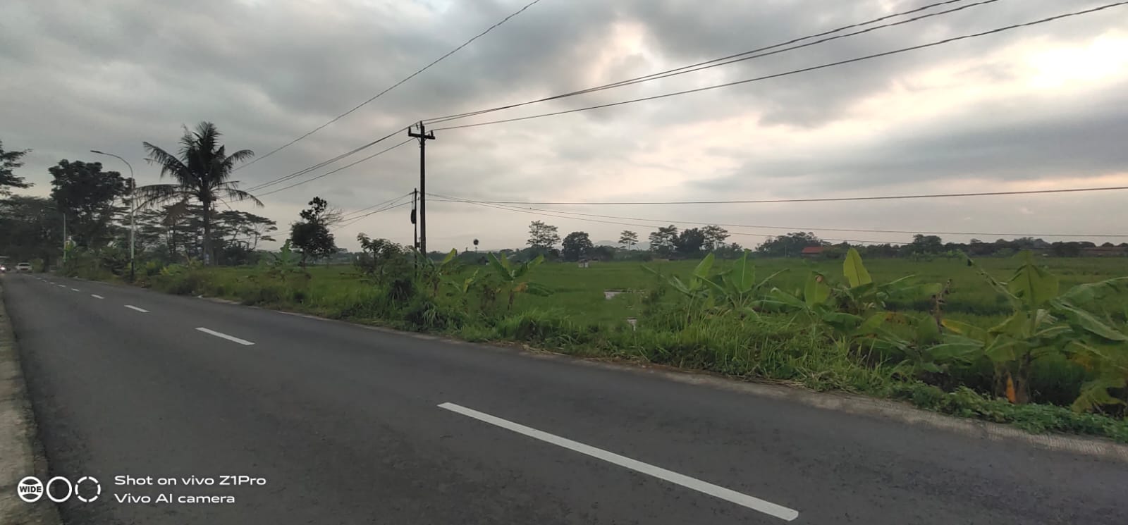 Sawah Harga Murah Pinggir Jalan Raya Area Kembaran