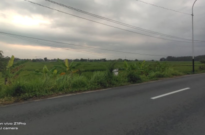 Sawah Harga Murah Pinggir Jalan Raya Area Kembaran