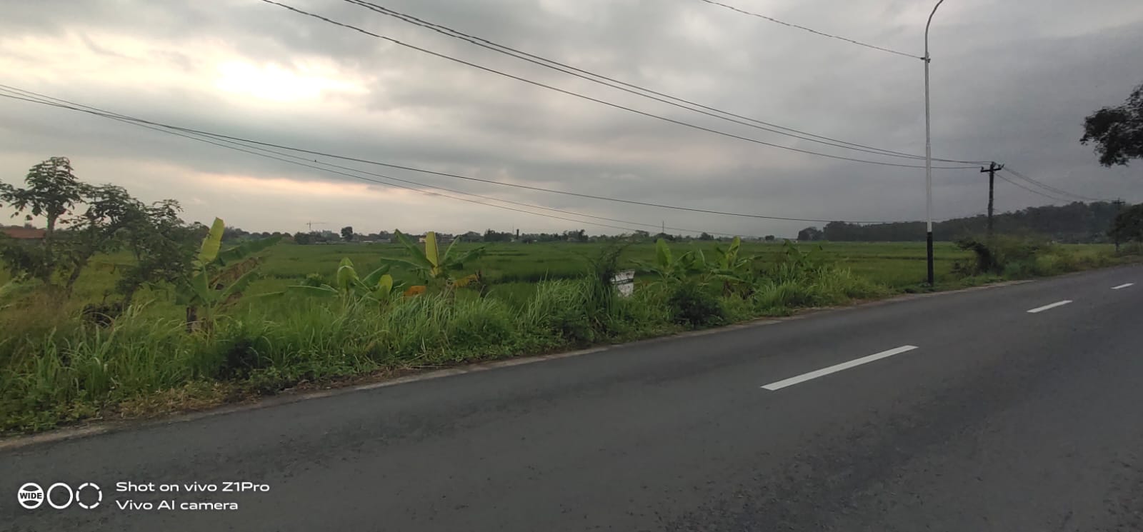Sawah Harga Murah Pinggir Jalan Raya Area Kembaran