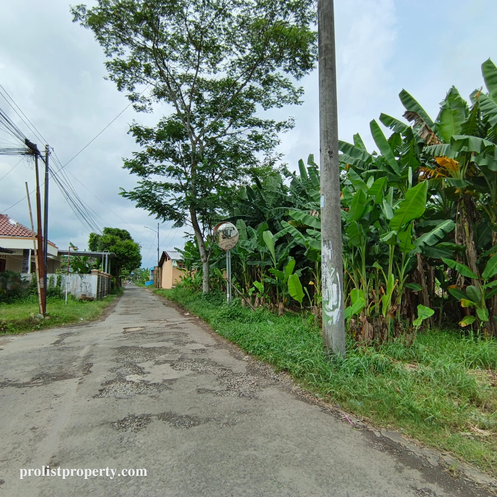 Jual Tanah Dibawah Harga Pasar Cocok Untuk Cluster Dekat RS Margono