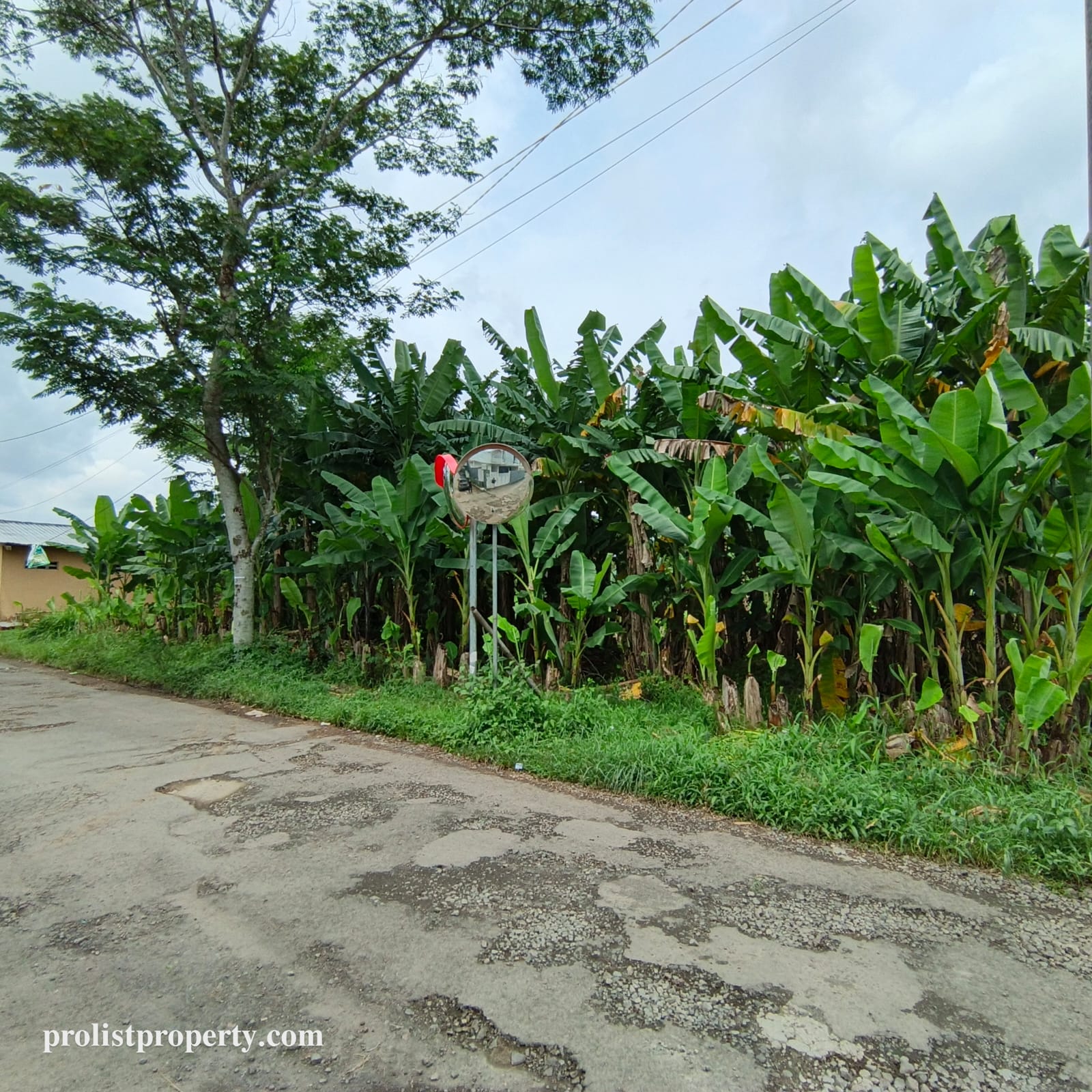 Jual Tanah Dibawah Harga Pasar Cocok Untuk Cluster Dekat RS Margono