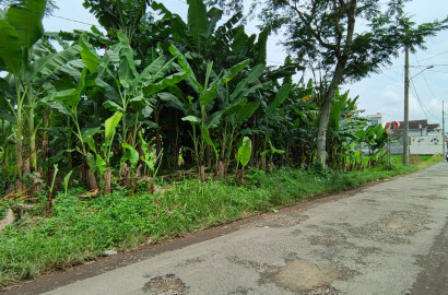 Jual Tanah Dibawah Harga Pasar Cocok Untuk Cluster Dekat RS Margono