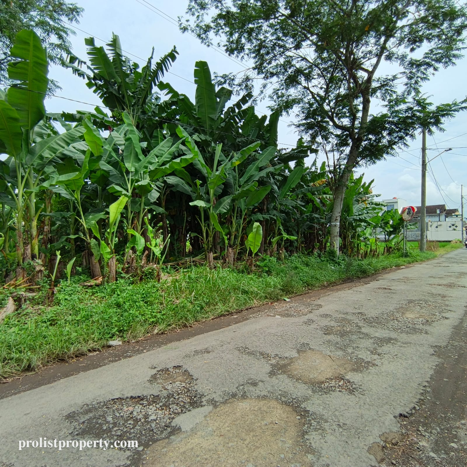 Jual Tanah Dibawah Harga Pasar Cocok Untuk Cluster Dekat RS Margono