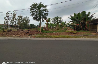 Disewakan Tanah Pinggir Jalan Raya Dekat Kampus UNSUD-Sumbang