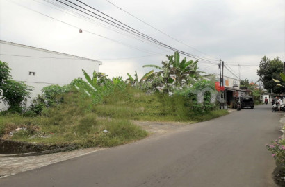 Tanah  Pinggir Jalan Dekat Kampus  UNSUD AMIKOM - Flamboyan Sumampir