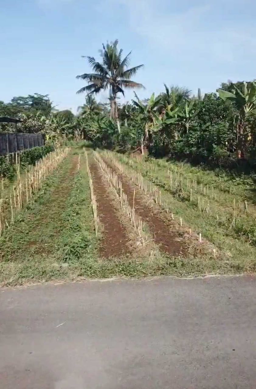 Tanah Luas Siap Bangun Area Timur Purwokerto