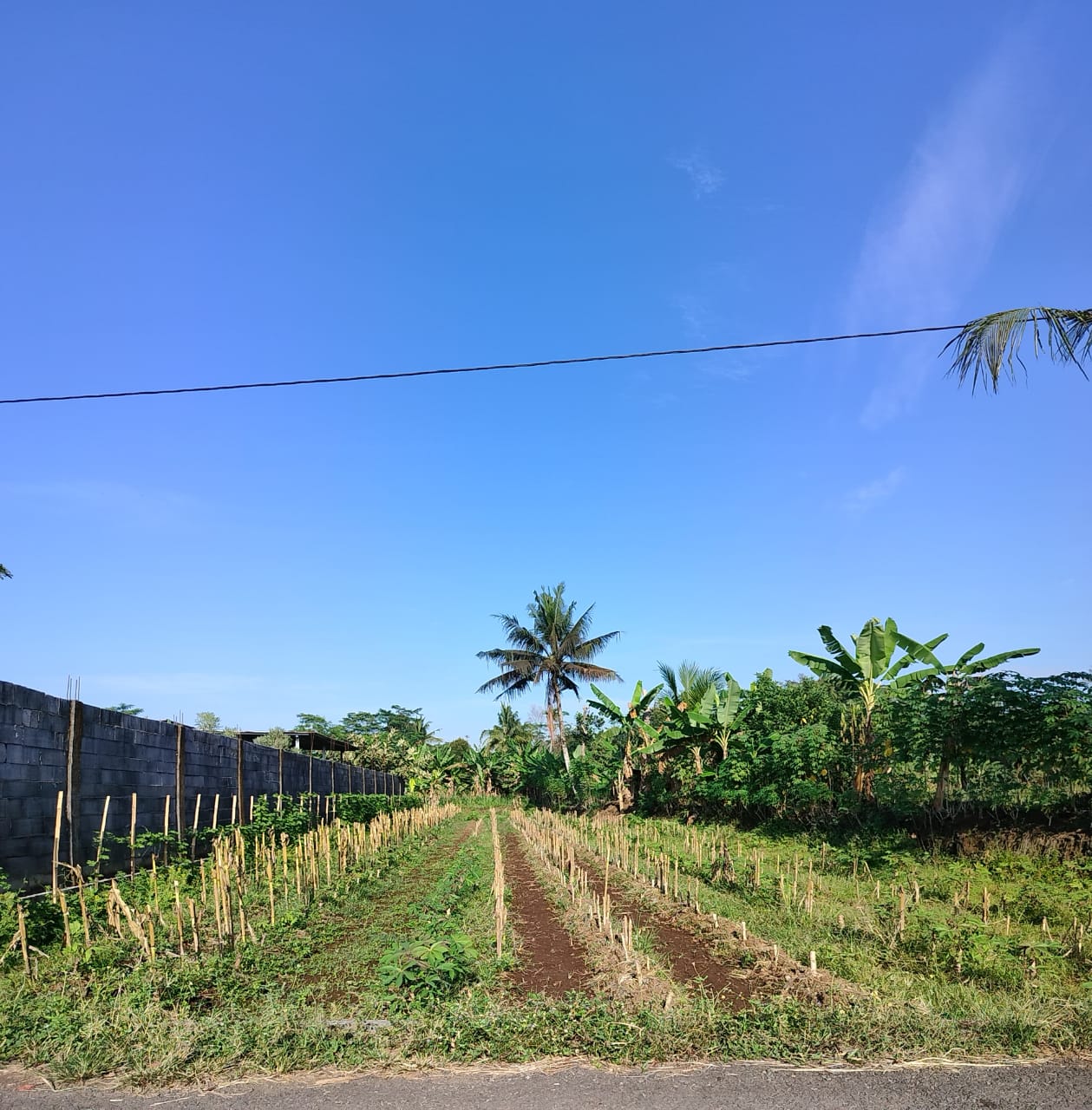 Tanah Luas Siap Bangun Area Timur Purwokerto