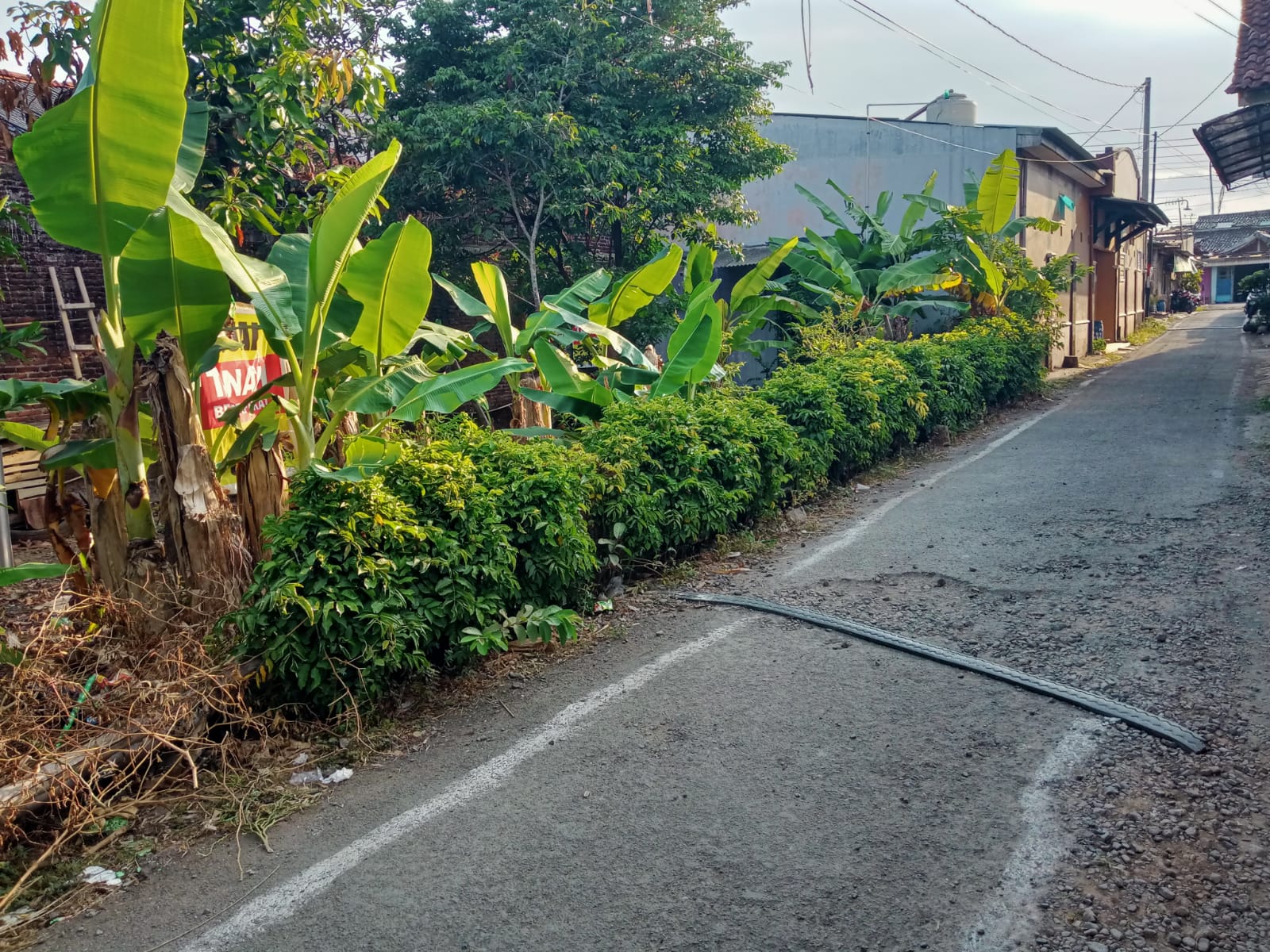 Dijual Tanah Pekarangan 1 Menit Ke Univ Harapan Bangsa