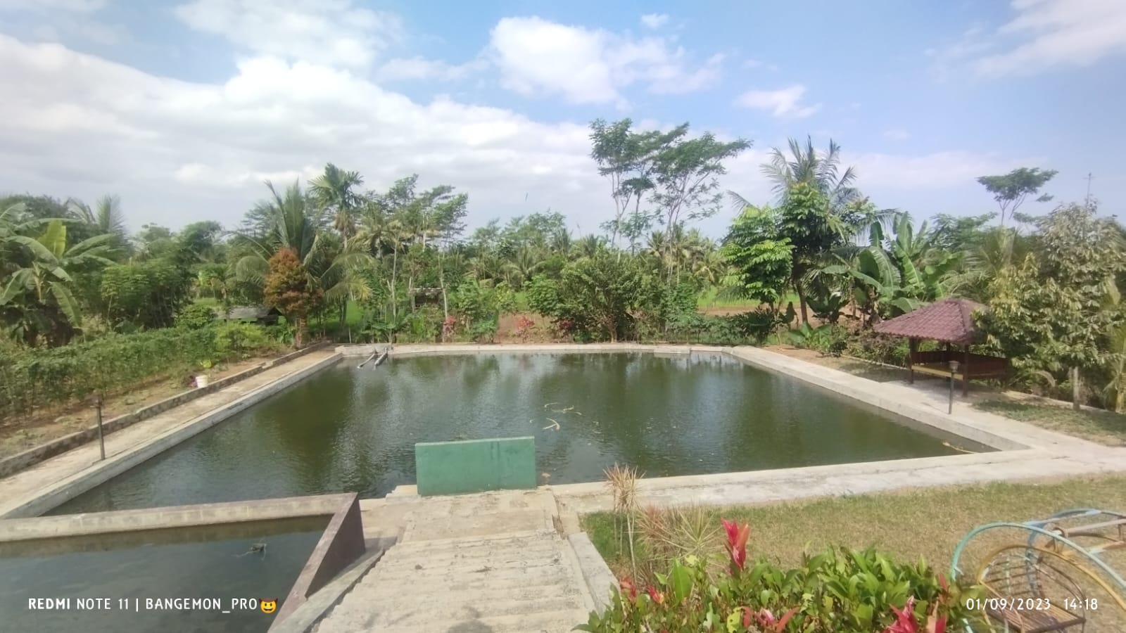 DIJUAL TANAH KONSEP KULINER VIEW SAWAH, PURWOKERTO UTARA