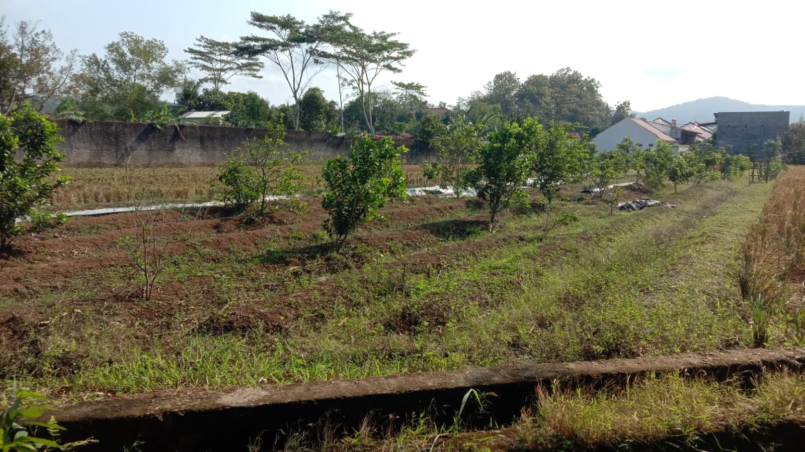 Dijual Rumah Kos dan Ruko Sudah Ada Minimarket 1 Menit ke RSU Banyumas