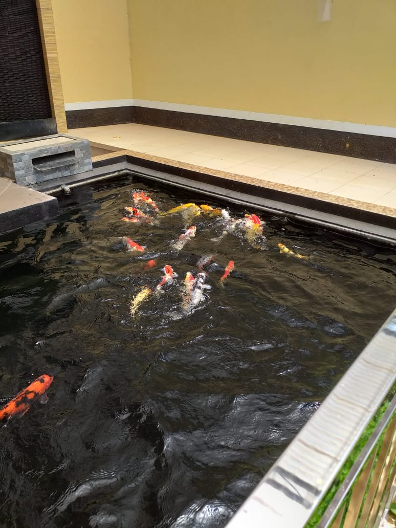 DIJUAL RUMAH MEWAH LOKASI JL RAYA BATURADEN