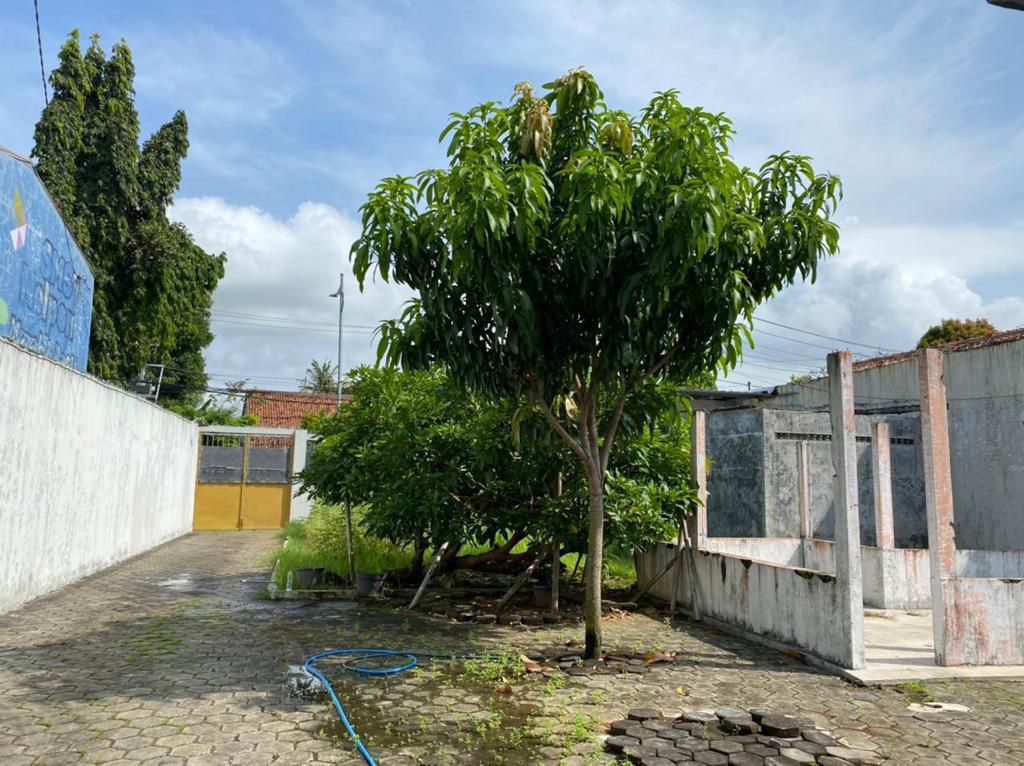 Dijual Rumah Halaman Luas Sudah Tembok Keliling - 3 Menit Alun-Alun Cilacap