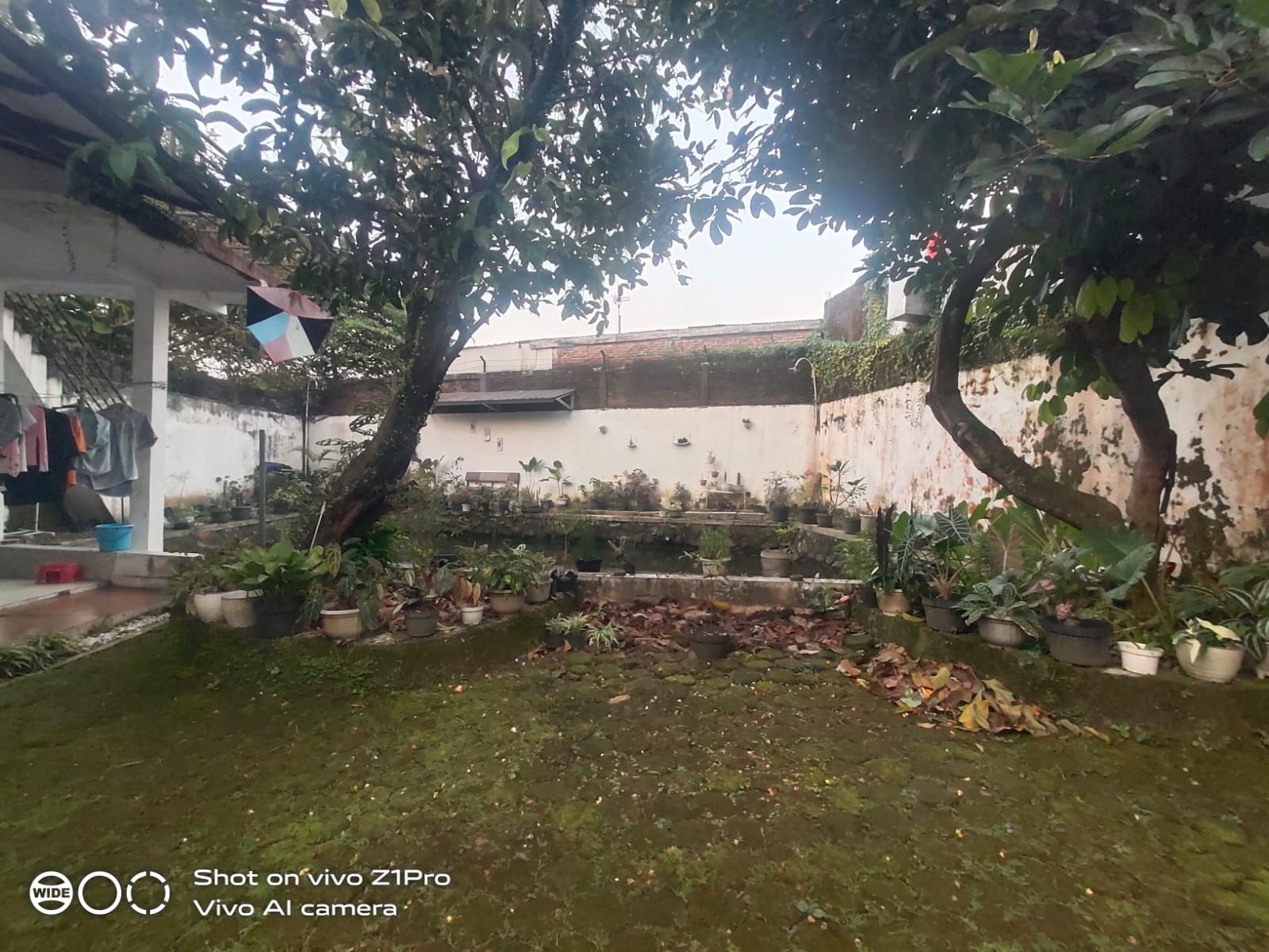 Rumah Bagus 5 Kamar Halaman Luas 2 Menit Ke Stasiun Purwokerto